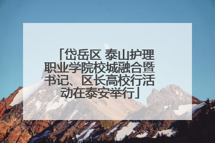 岱岳区 泰山护理职业学院校城融合暨书记、区长高校行活动在泰安举行